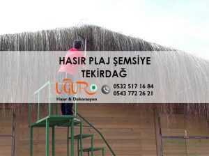 Tekirdağ Hasır Plaj Şemsiye