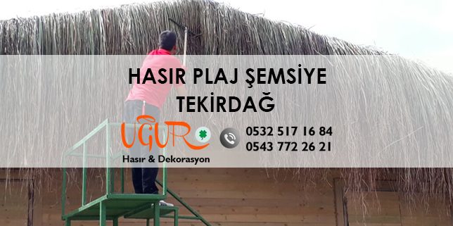 Tekirdağ Hasır Plaj Şemsiye