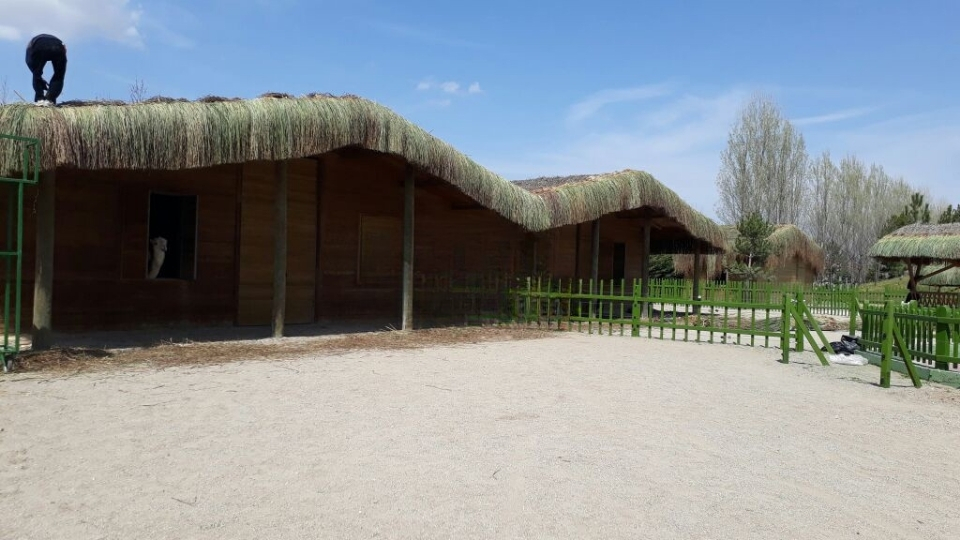 hasir plaj semsiye yapanlar